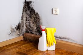 Best Biohazard Mold Removal  in Shreveport, LA